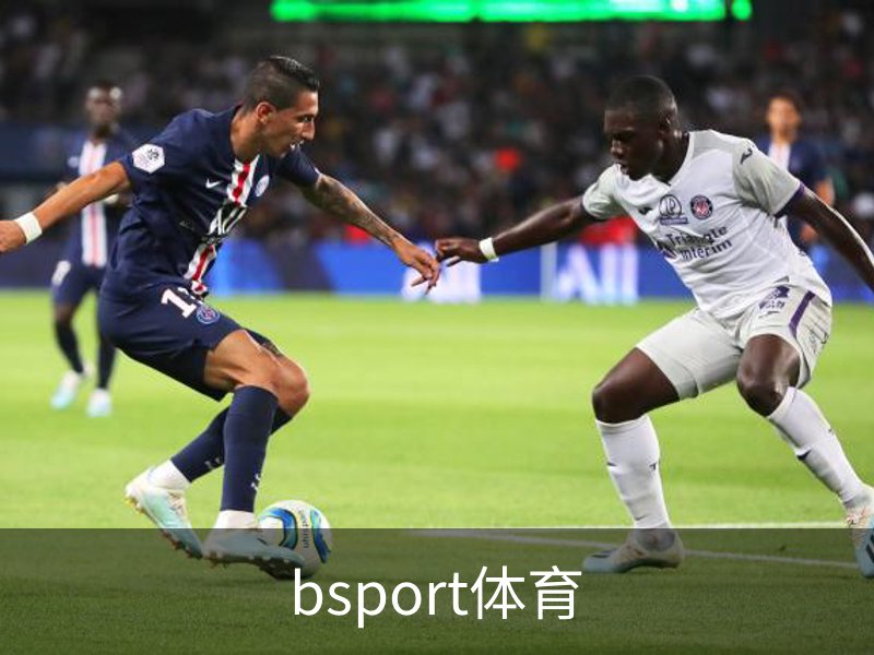 bsport体育品牌故事
